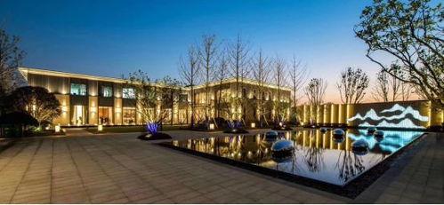 合肥豪宅大爆料最新消息,最新动态与独家爆料一览无余 第1张 合肥豪宅大爆料最新消息,最新动态与独家爆料一览无余 第1张