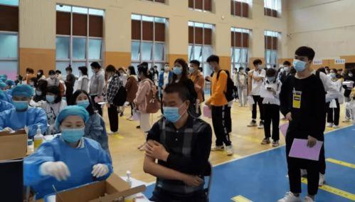 五石炫彩最新爆料消息,揭秘神秘彩宝背后的传奇故事  第2张