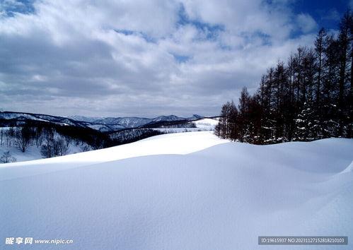 最新爆料六图雪地图片下载,冬日雪地美景，带你领略纯净自然之美”  第1张