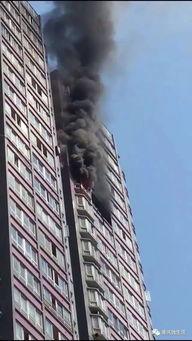 杨家坪最新爆料,揭秘神秘事件背后的真相