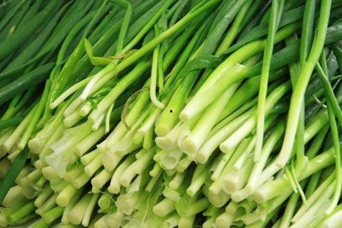 原神最新爆料韭菜,神秘韭菜助力角色成长,探索游戏新玩法 第3张 原神最新爆料韭菜,神秘韭菜助力角色成长,探索游戏新玩法 第3张